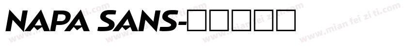 NAPA SANS字体转换